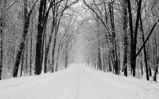 Winter Road