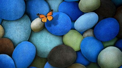 Stones and Butterfly