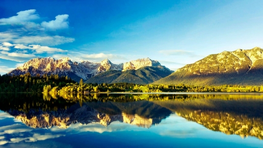 Beautiful Lake and Pine Forest