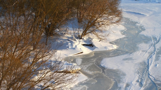 Ice on River and Winter Forest